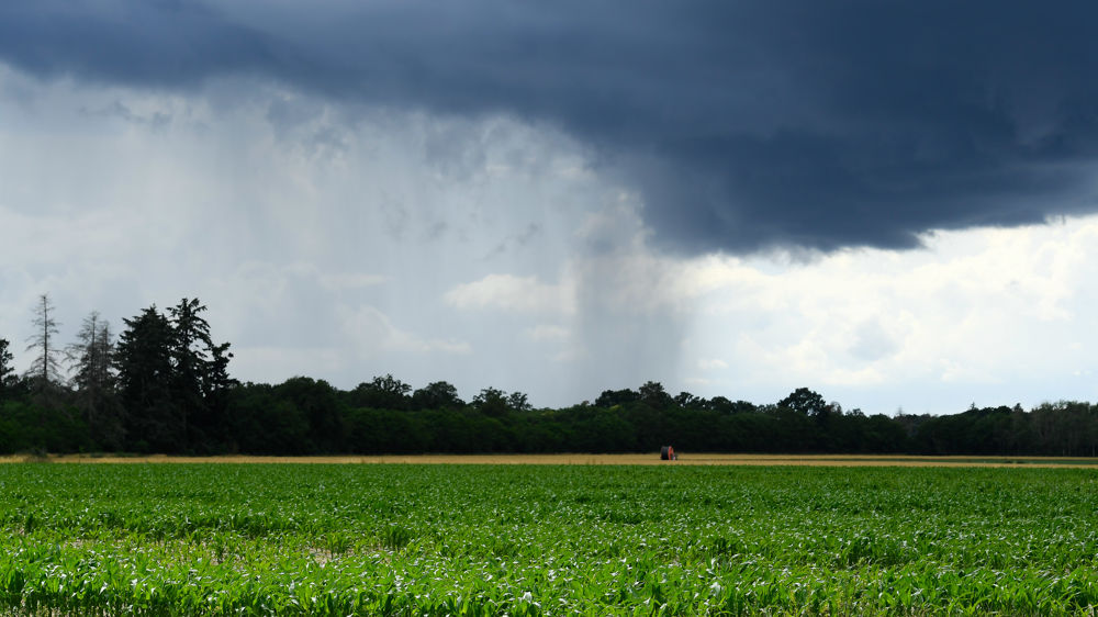 Après quelques jours ensoleillés, MeteoNews annonce le retour des orages dès ce jeudi 29 juin 2023.